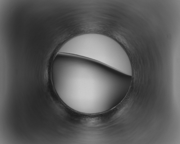 X0000089900638200706281136