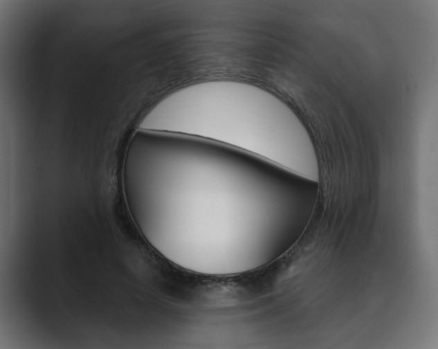 X0000089900642200706281136