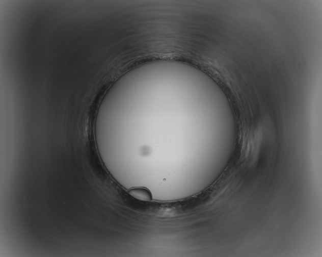 X0000089900647200706281136