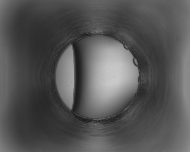 X0000089900648200706281136