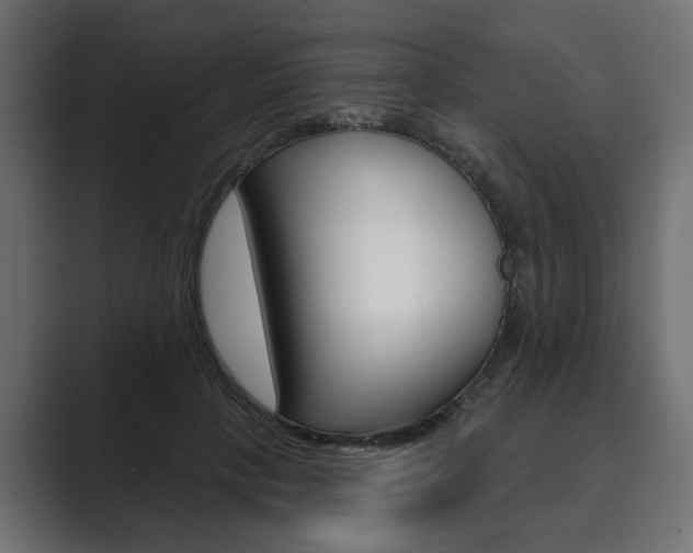 X0000089900649200706281136