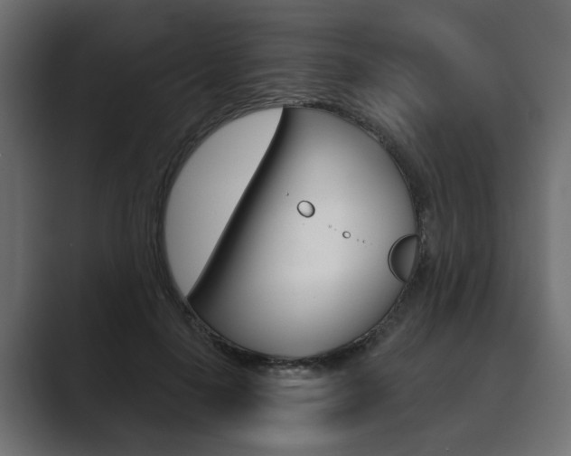 X0000089900650200706281136