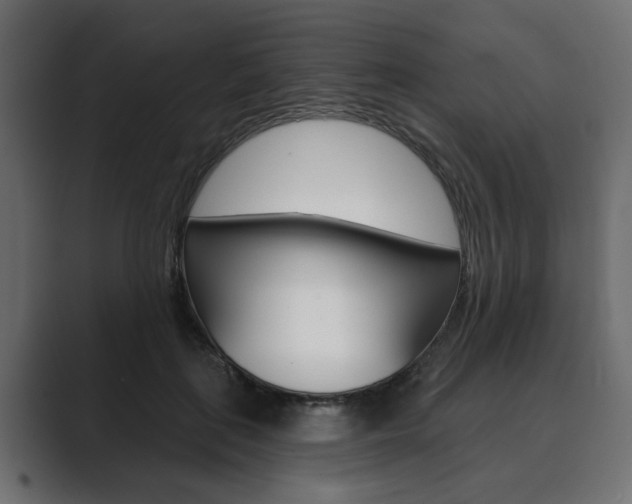 X0000089900651200706281136