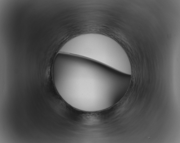 X0000089900652200706281136