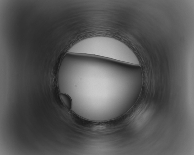 X0000089900653200706281136