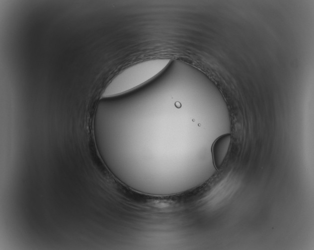 X0000089900654200706281136