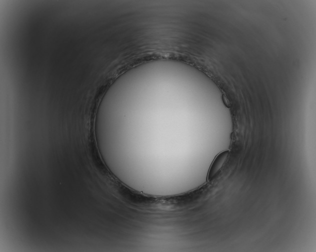 X0000089900656200706281136