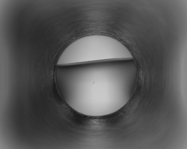 X0000089900657200706281136