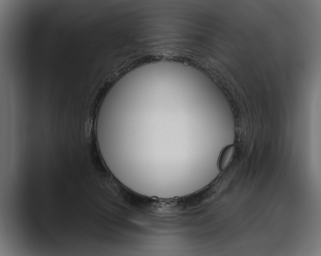 X0000089900660200706281136