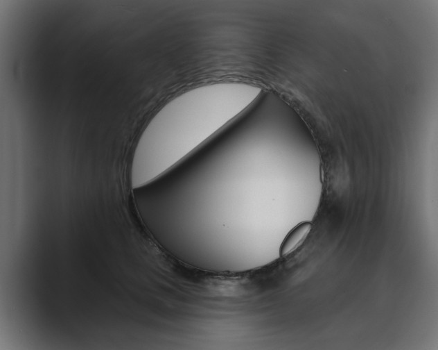 X0000089900661200706281136