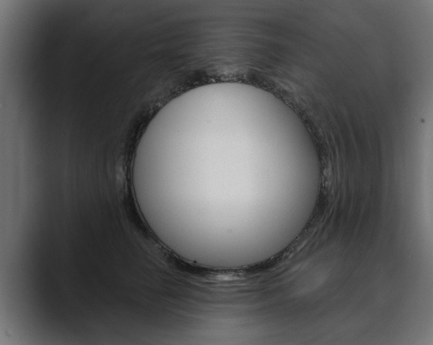 X0000089900662200706281136