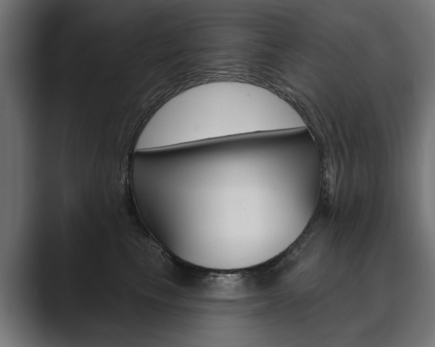 X0000089900665200706281136