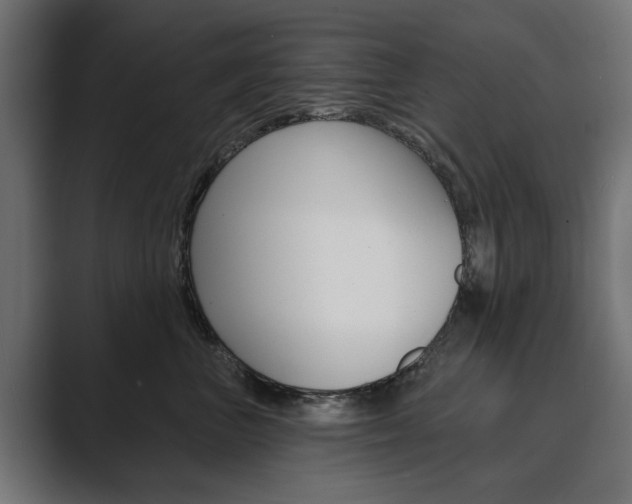 X0000089900667200706281136