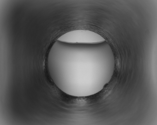 X0000089900668200706281136