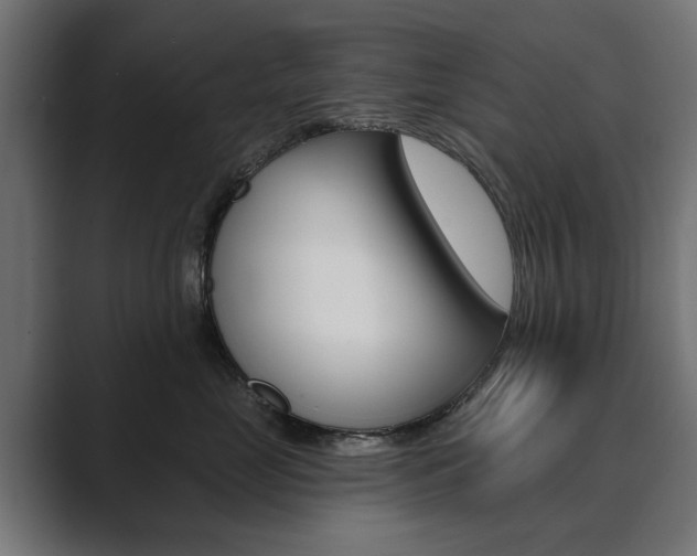 X0000089900669200706281136