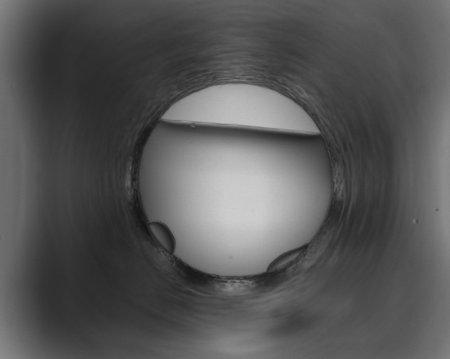 X0000089900670200706281136