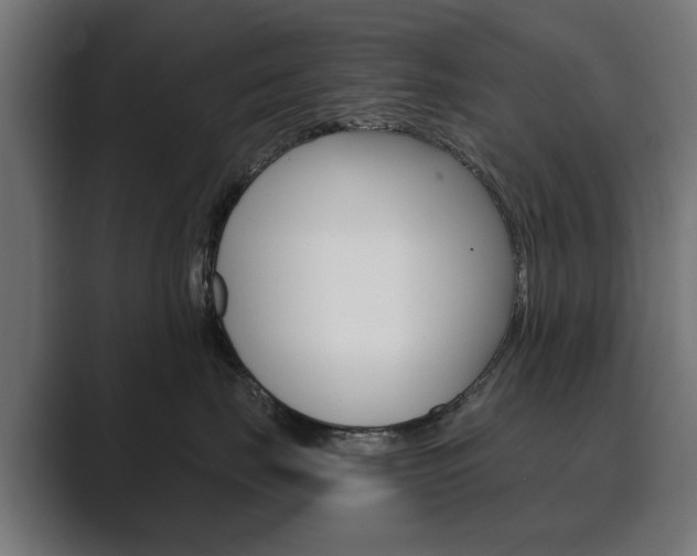 X0000089900671200706281136
