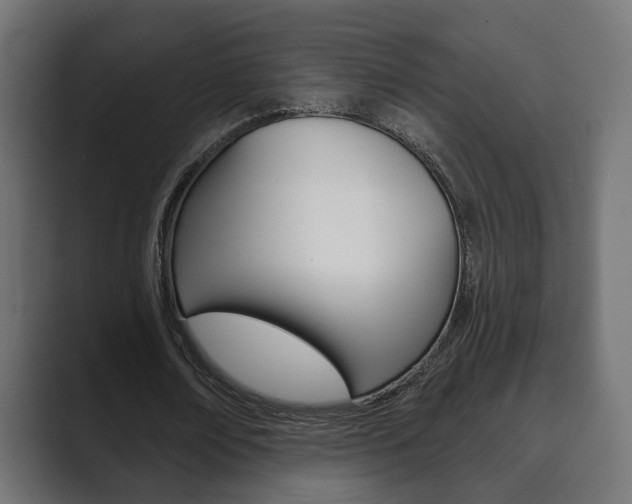 X0000089900674200706281135