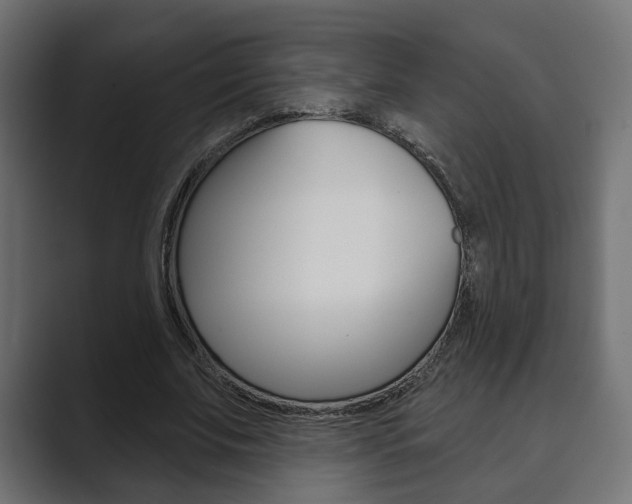 X0000089900679200706281135