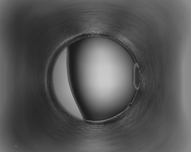 X0000089900680200706281135
