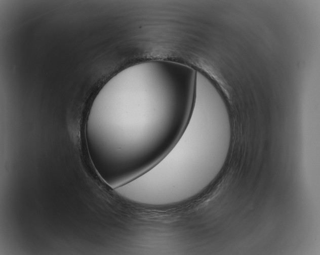 X0000089900681200706281135