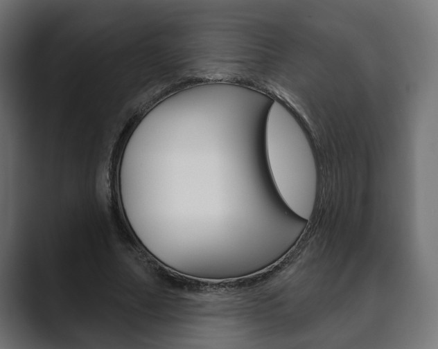 X0000089900682200706281135