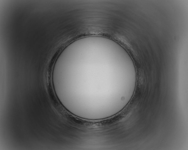X0000089900683200706281135
