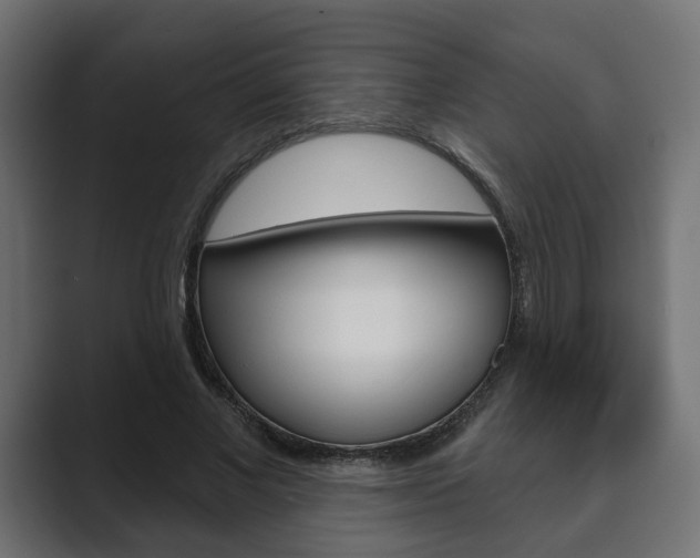X0000089900685200706281135
