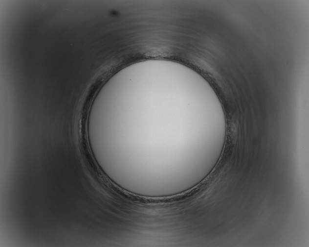 X0000089900686200706281135