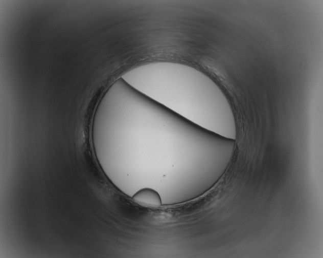 X0000089900687200706281135