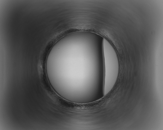 X0000089900688200706281135
