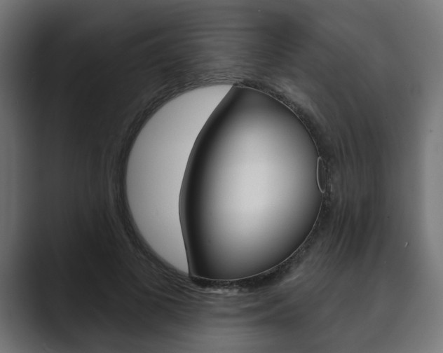 X0000089900693200706281135
