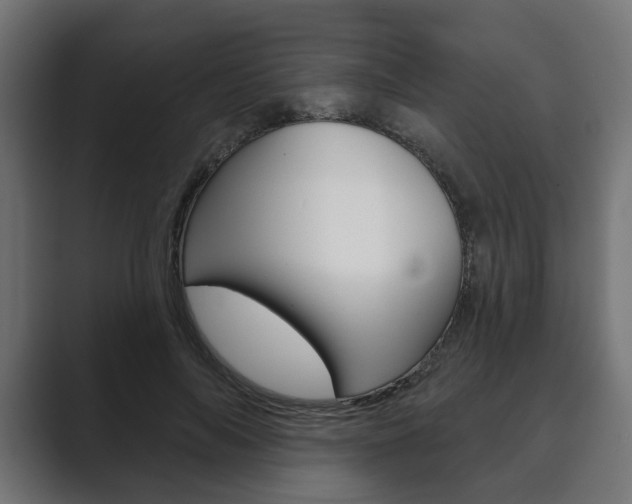 X0000089900694200706281135