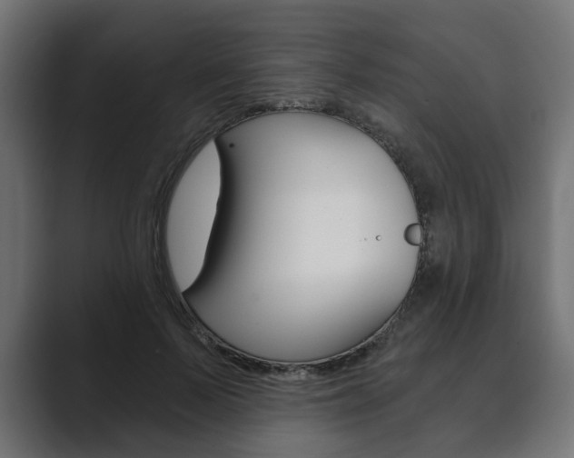 X0000089900695200706281135