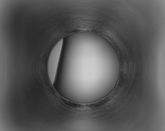X0000089900696200706281135