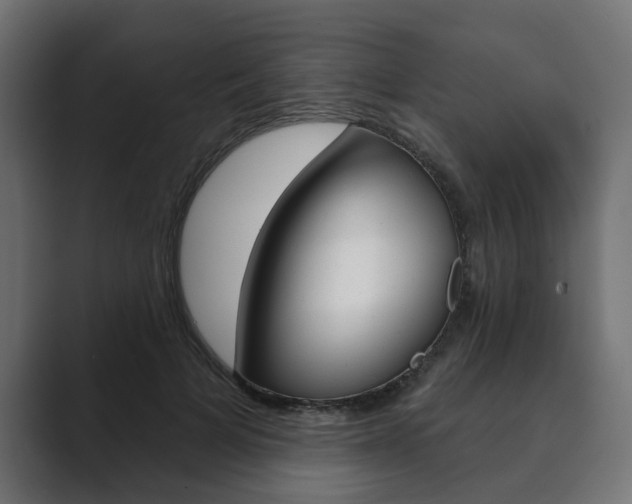 X0000089900697200706281135