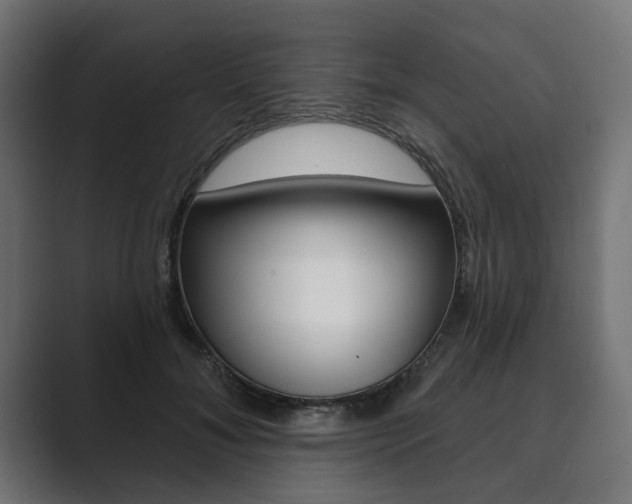 X0000089900700200706281135