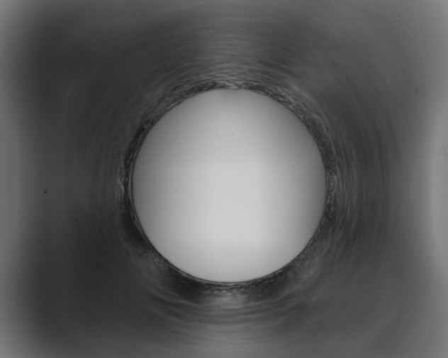 X0000089900702200706281135