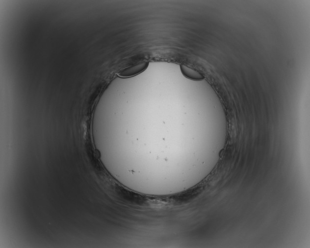 X0000089900703200706281135