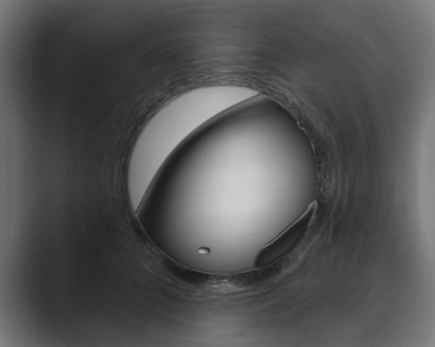 X0000089900704200706281135
