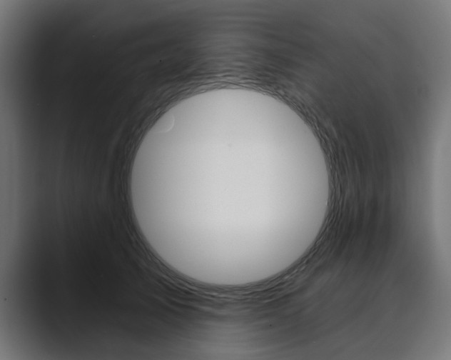 X0000089900705200706281135