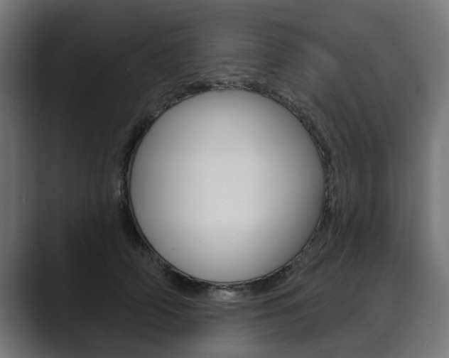 X0000089900706200706281135