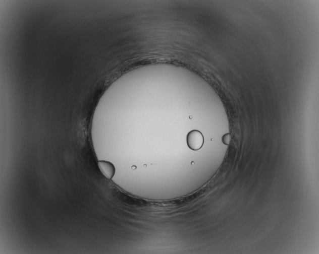 X0000089900707200706281135