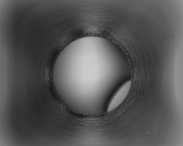 X0000089900708200706281135