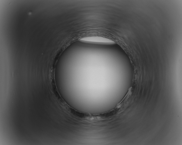 X0000089900712200706281135