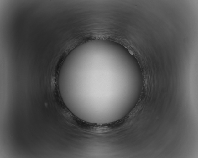 X0000089900716200706281135