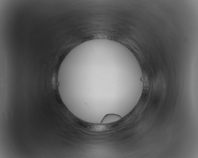 X0000089900717200706281135