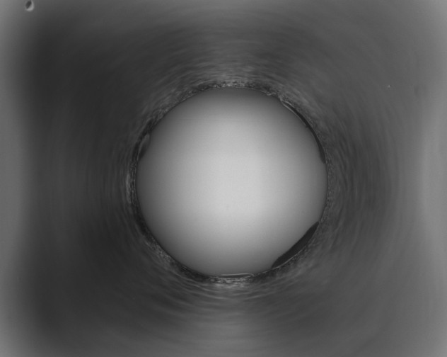 X0000089900720200706281135