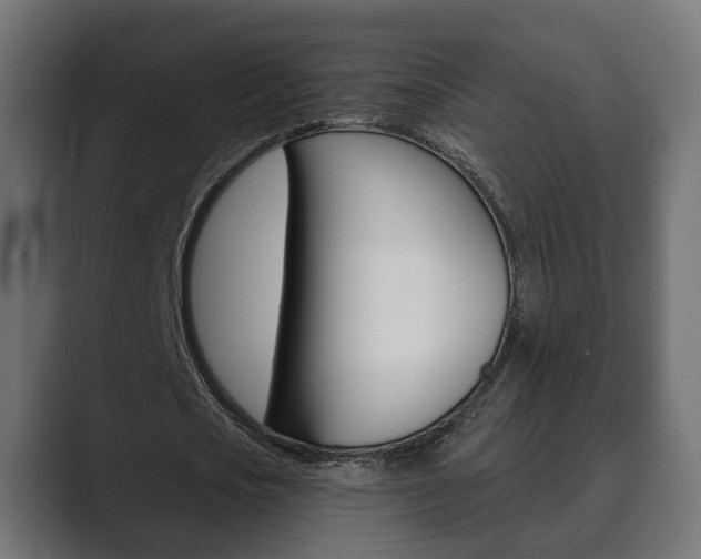 X0000089900721200706281134