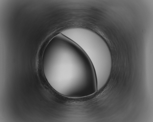 X0000089900722200706281134
